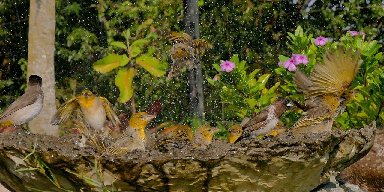 Kingfishers Khaya Sodwana Bay Ngoại thất bức ảnh