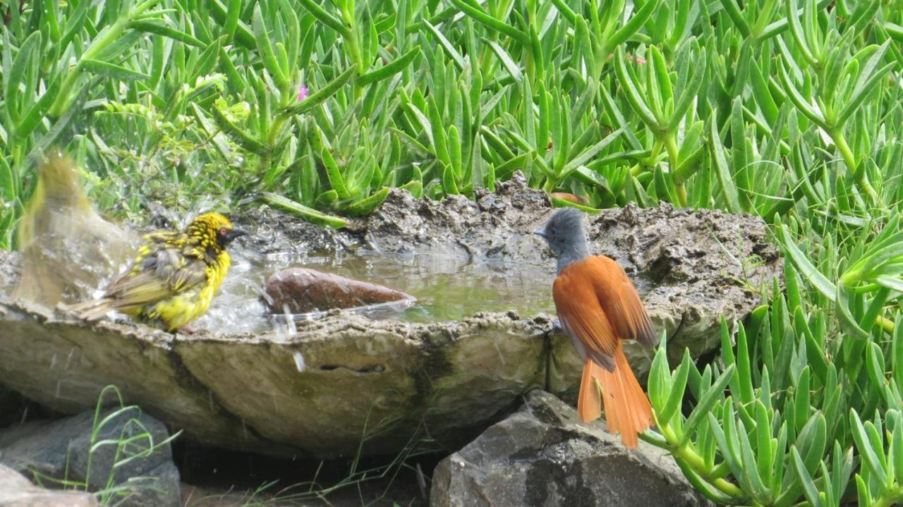 Kingfishers Khaya Sodwana Bay Ngoại thất bức ảnh